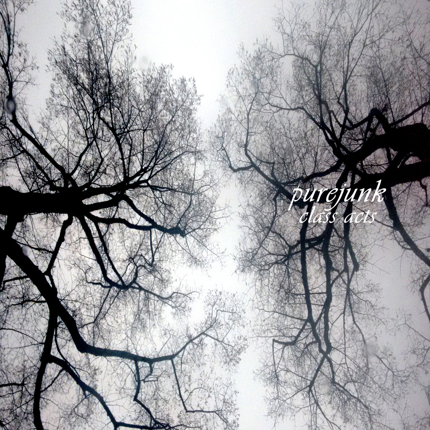 Vinyl | Purejunk - Class Acts 10th Anniversary Edition